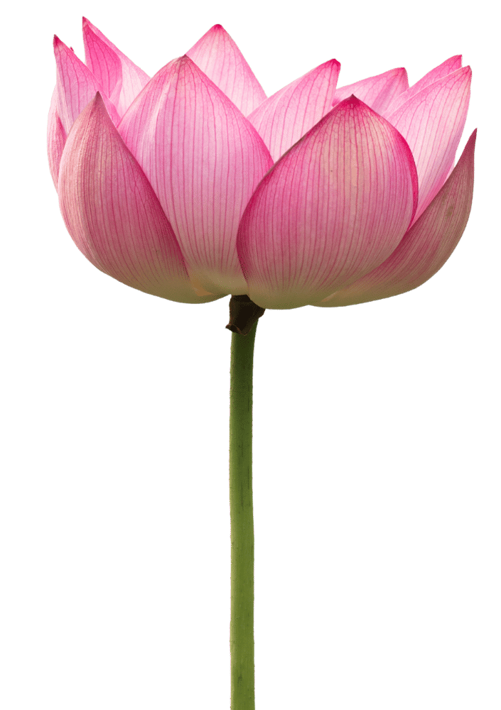 prav-duplicateedit-22-1.png prav-duplicateedit-22-1.png